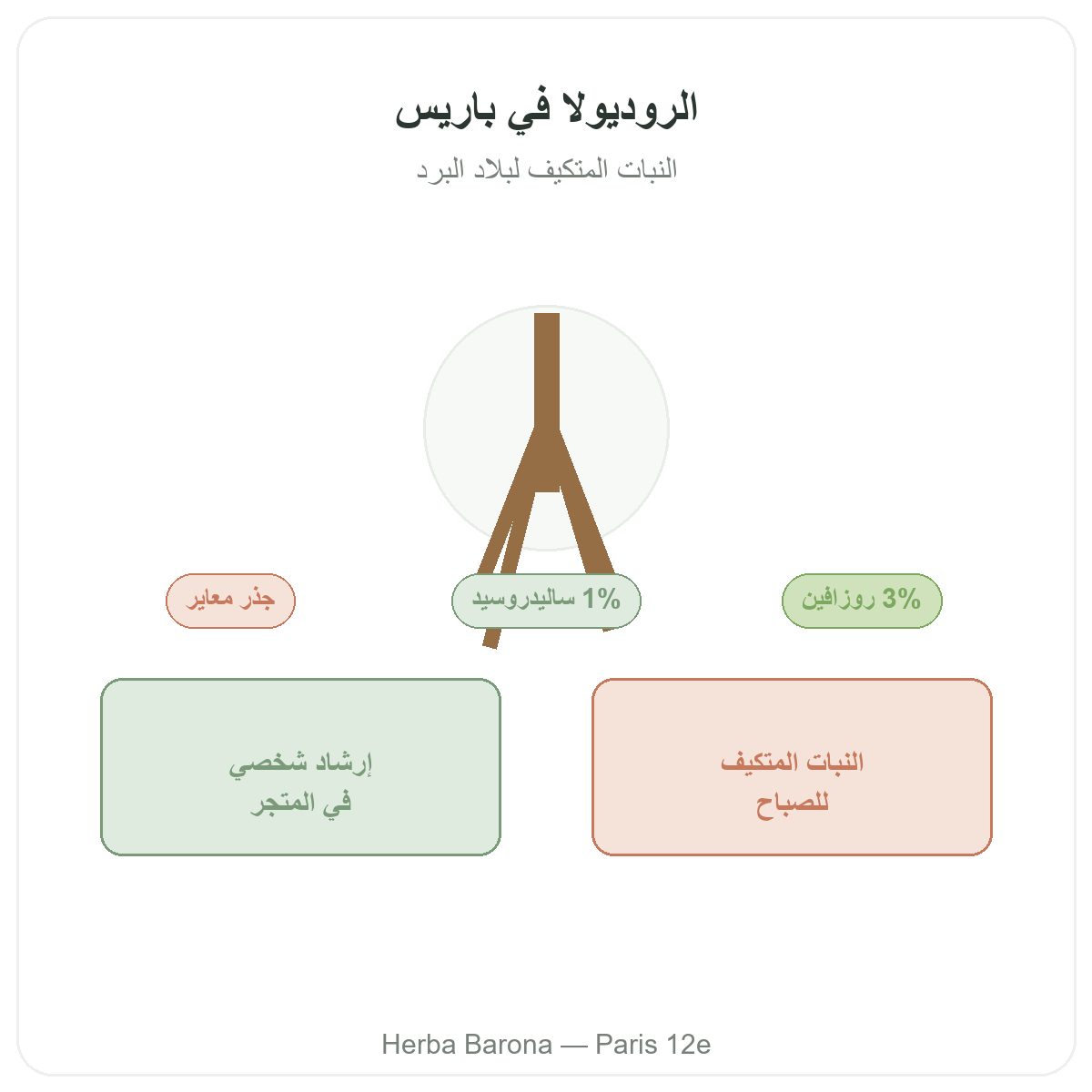 الروديولا في باريس - لدى Herba Barona باريس 12