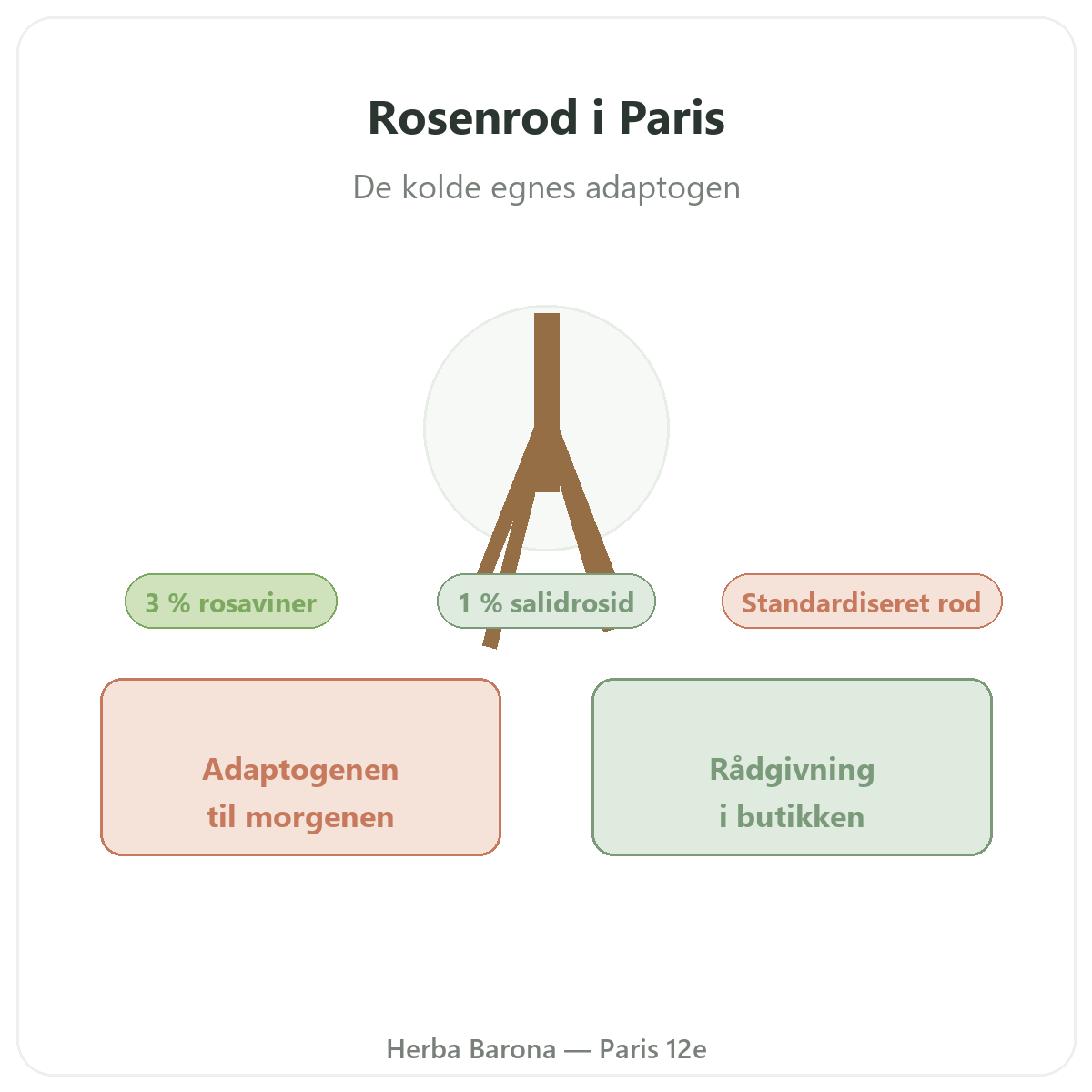 Rhodiola i Paris - hos Herba Barona Paris 12