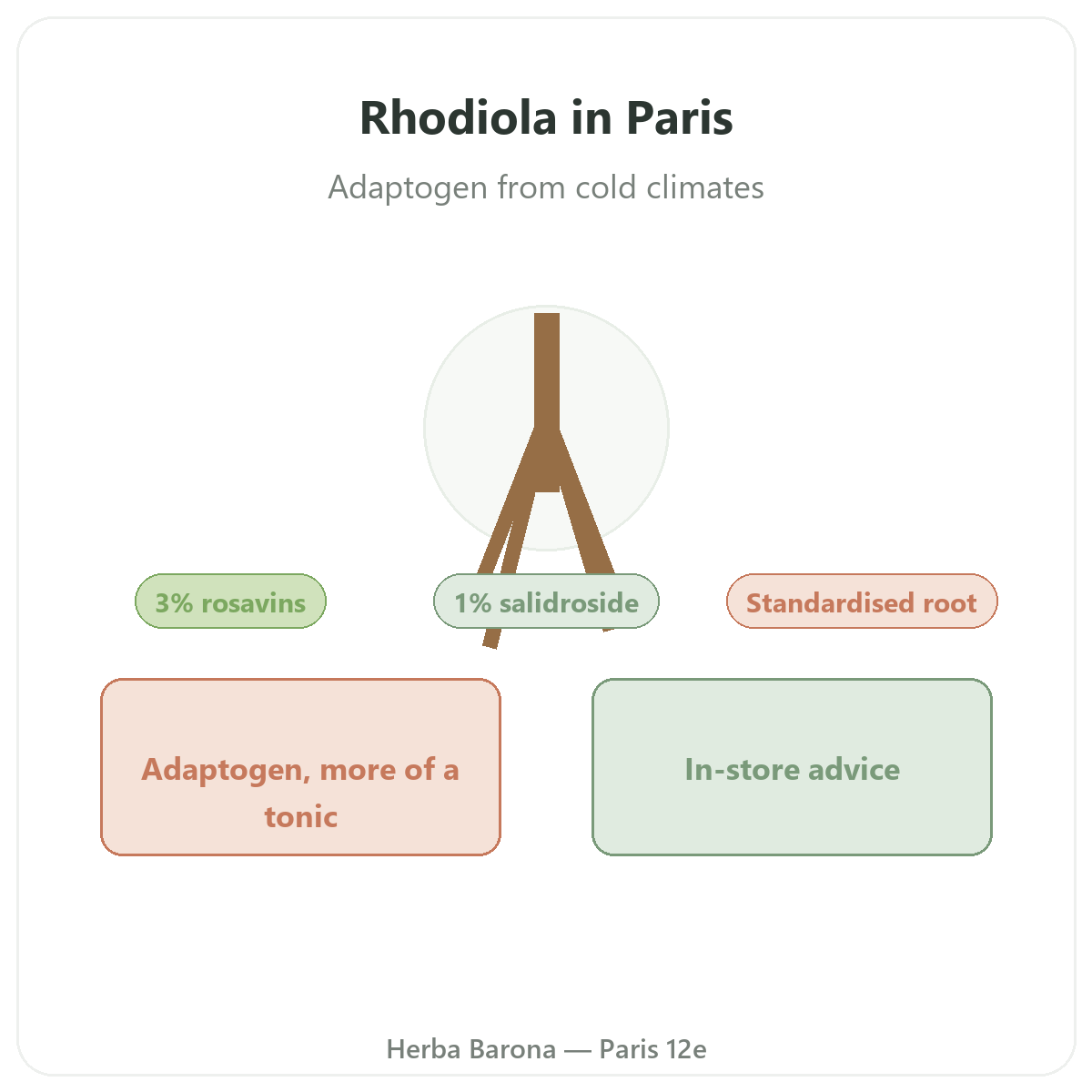 Rhodiola in Paris - at Herba Barona Paris 12e