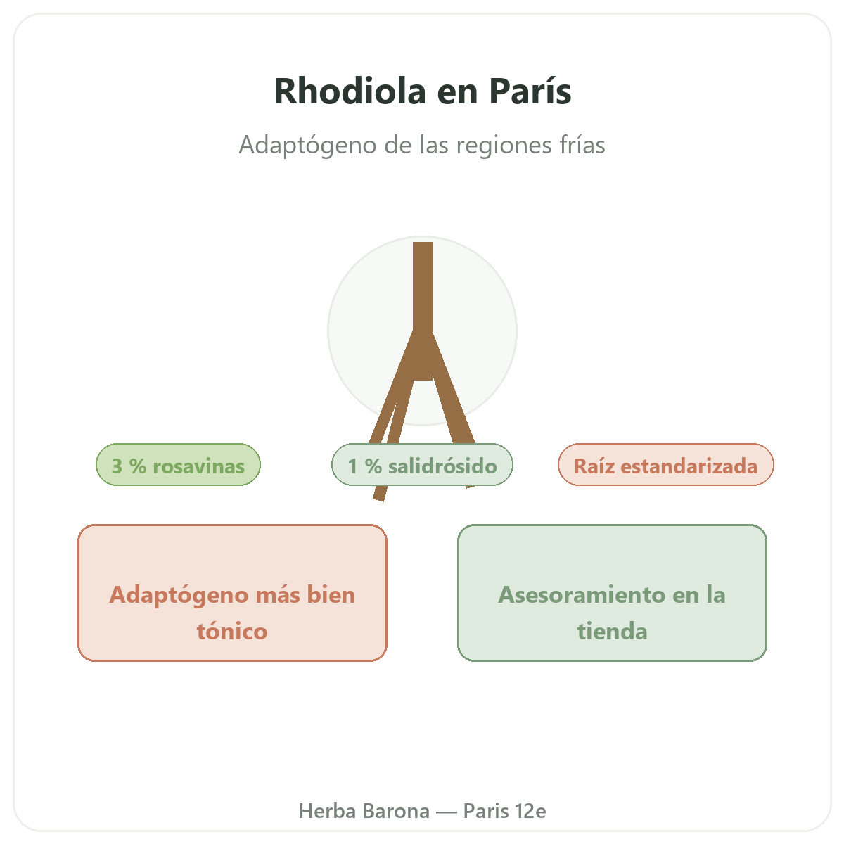 Rhodiola en París - en Herba Barona París 12e
