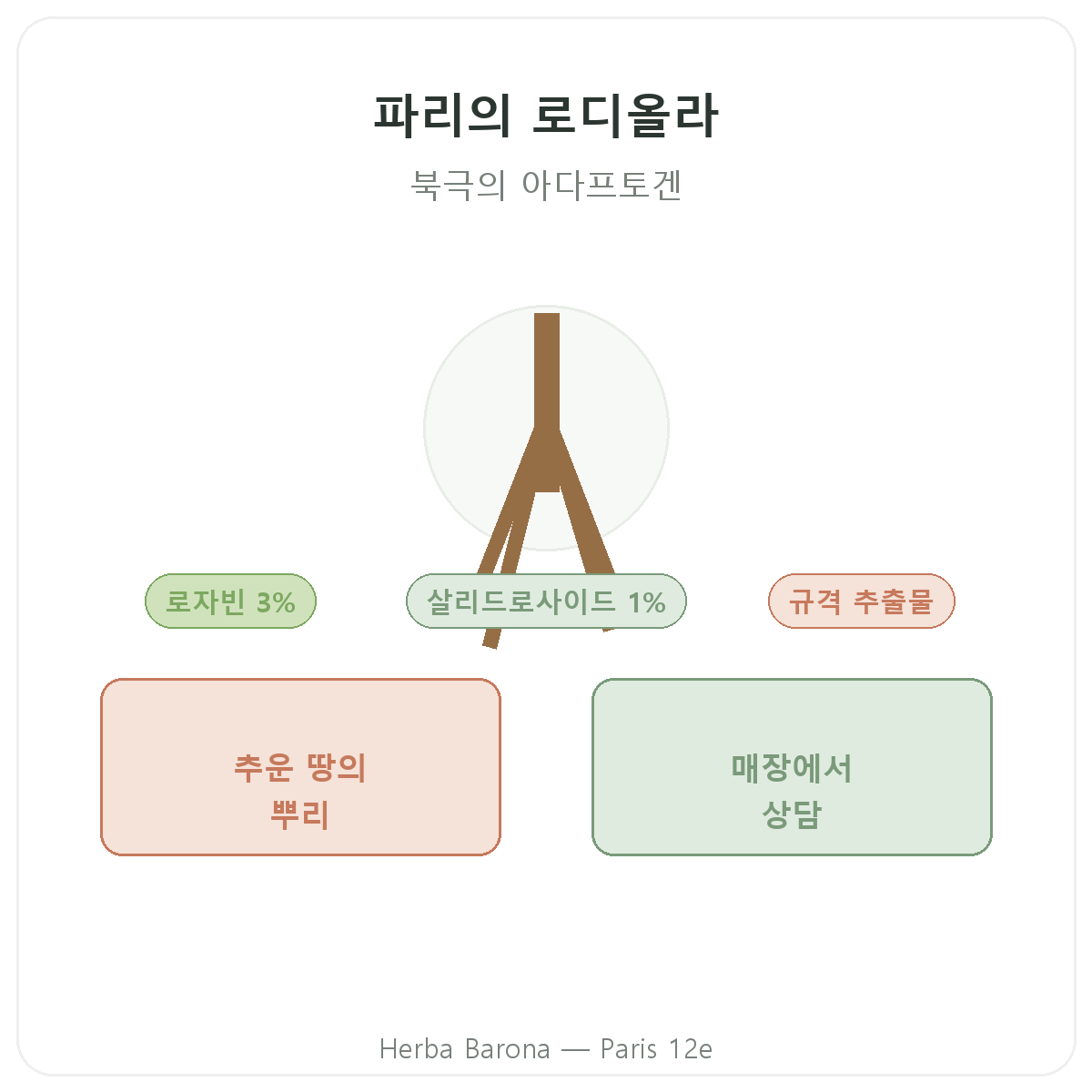 파리 로디올라 - Herba Barona 파리 12구