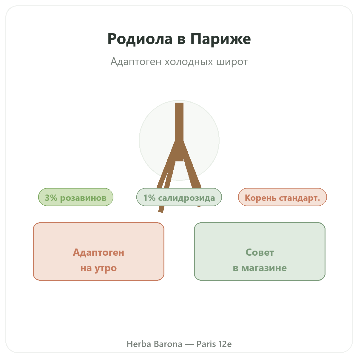 Rhodiola в Париже - в магазине Herba Barona Париж, 12-й округ