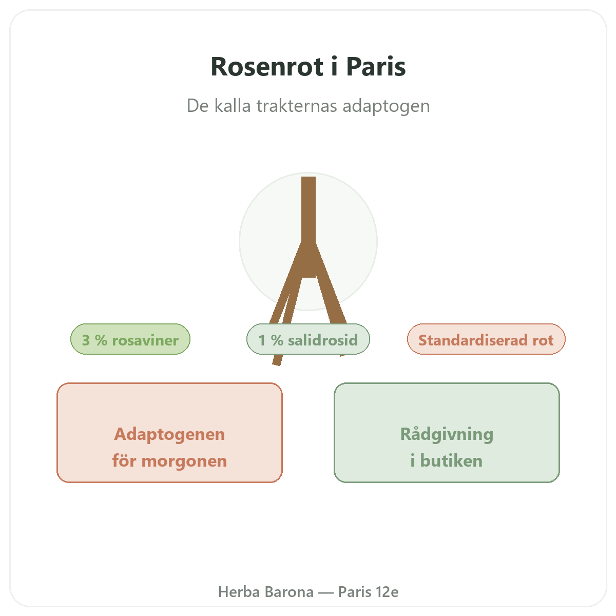 Rhodiola i Paris – hos Herba Barona Paris 12e