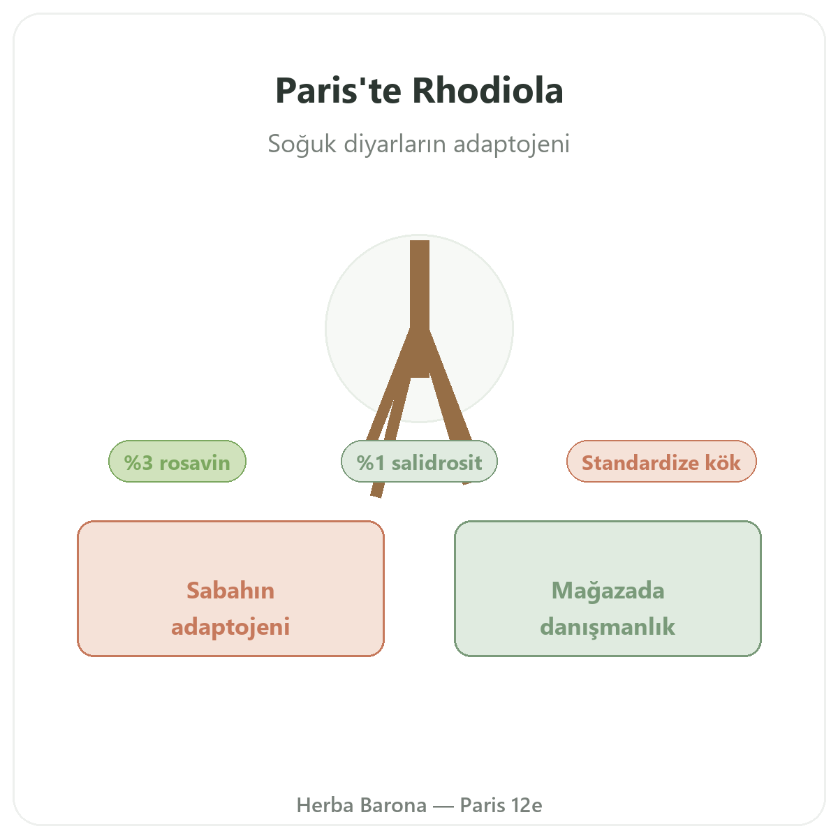 Paris’te rhodiola - Herba Barona Paris 12e’de