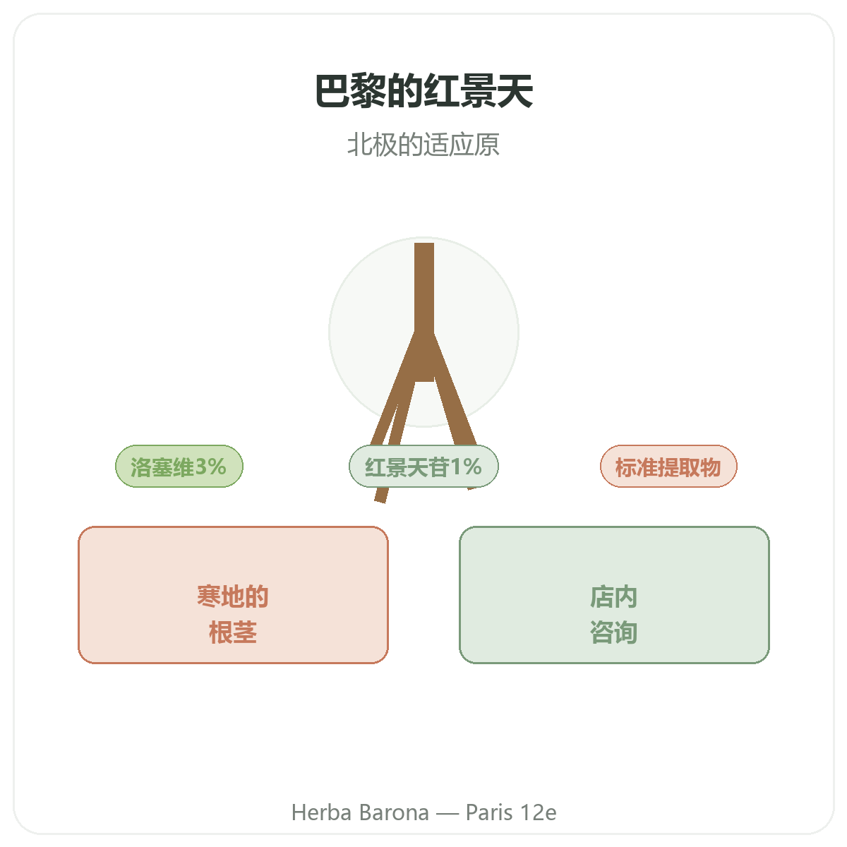 Rhodiola a Paris - chez Herba Barona Paris 12e