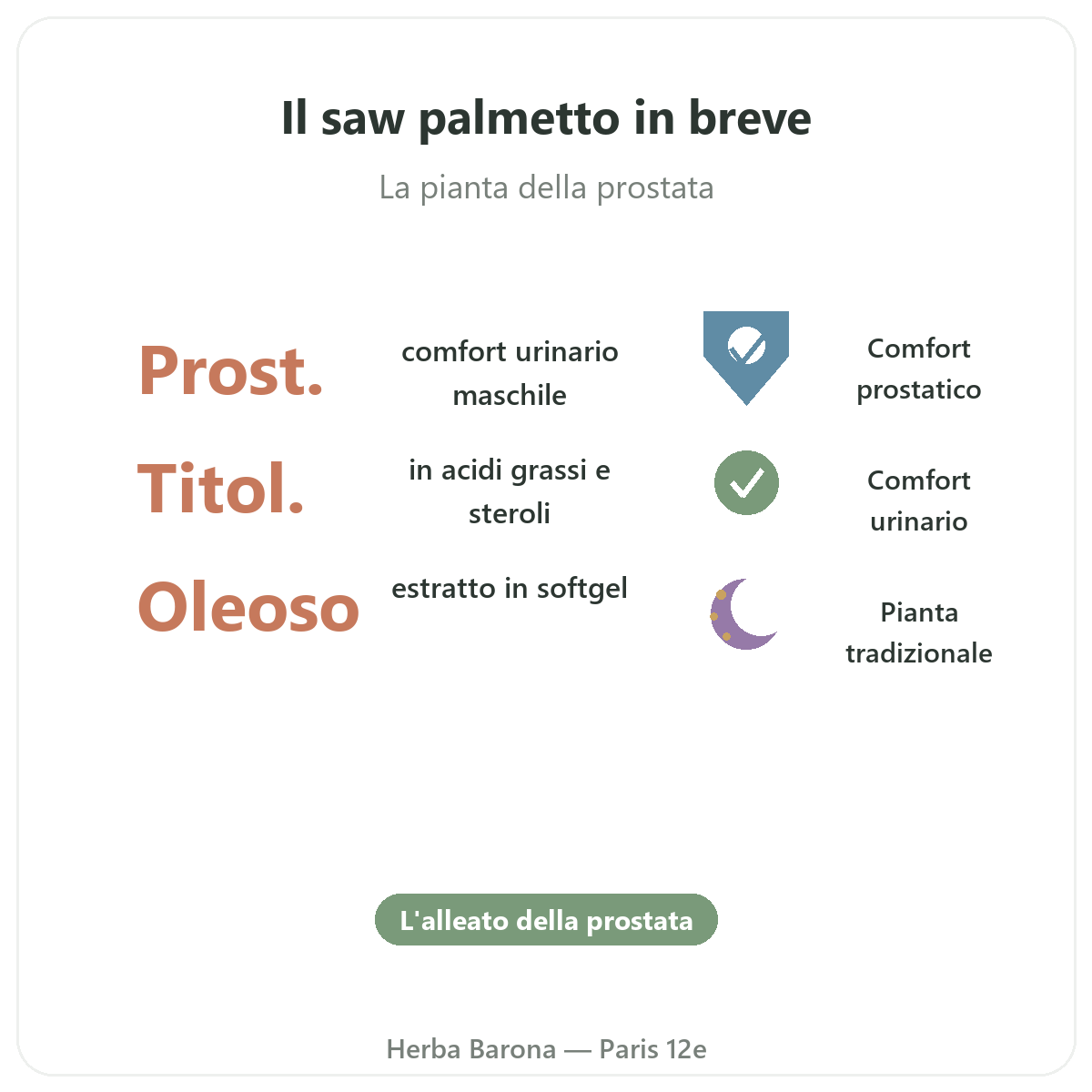 Saw Palmetto Paris Paris en bref - chiffres cles chez Herba Barona Paris 12e