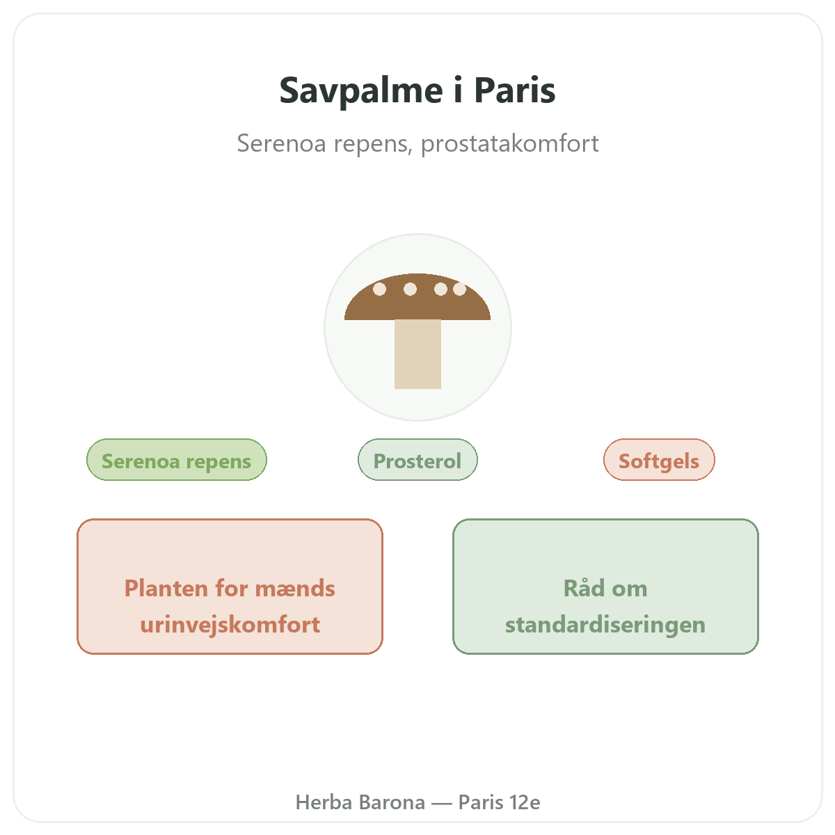 Saw Palmetto Paris Paris - præsentation af mærket hos Herba Barona Paris 12