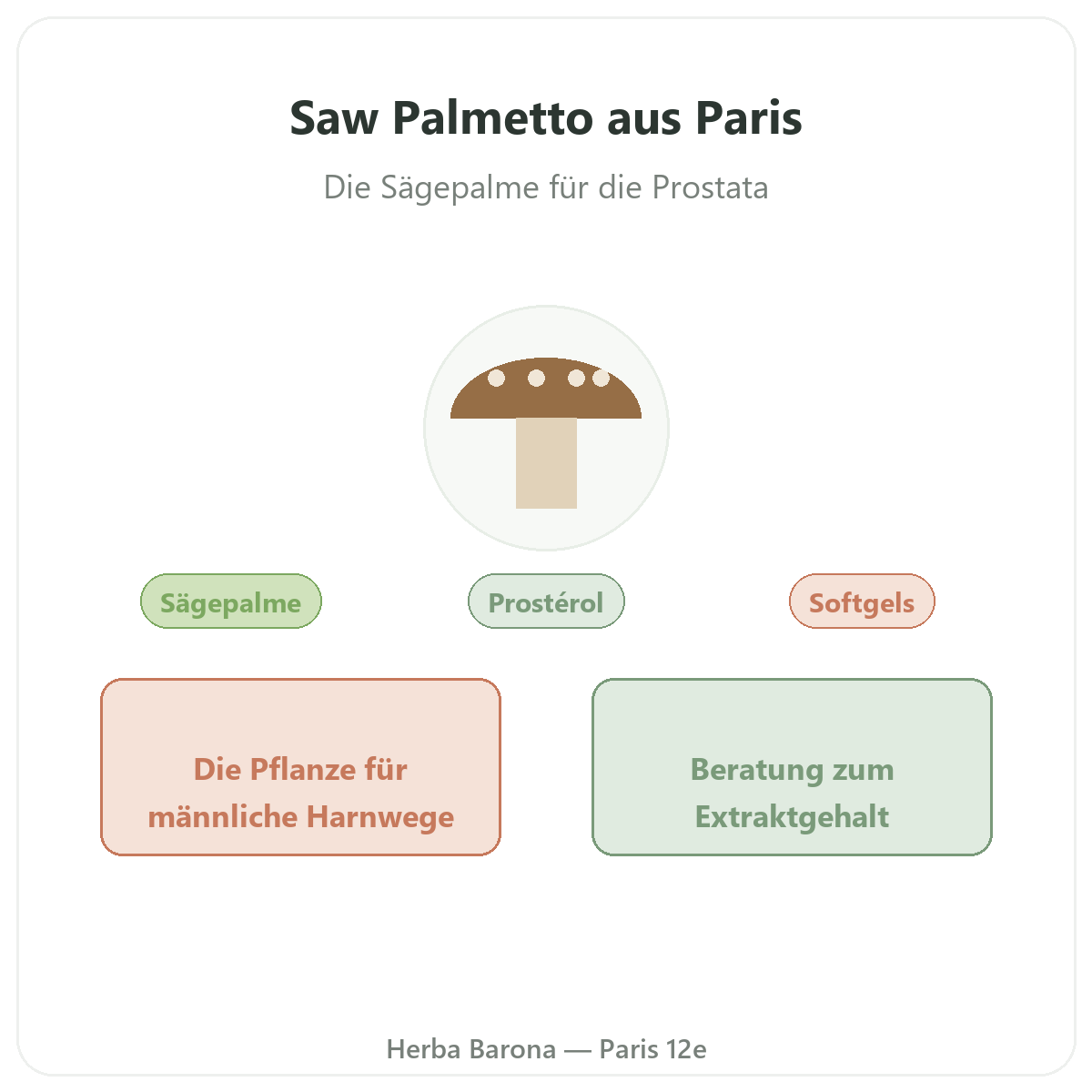 Sägepalme Paris – Markenvorstellung bei Herba Barona Paris 12e