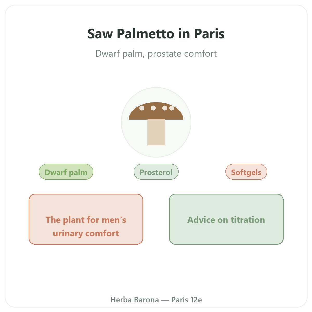 Saw Palmetto - brand presentation at Herba Barona Paris 12th