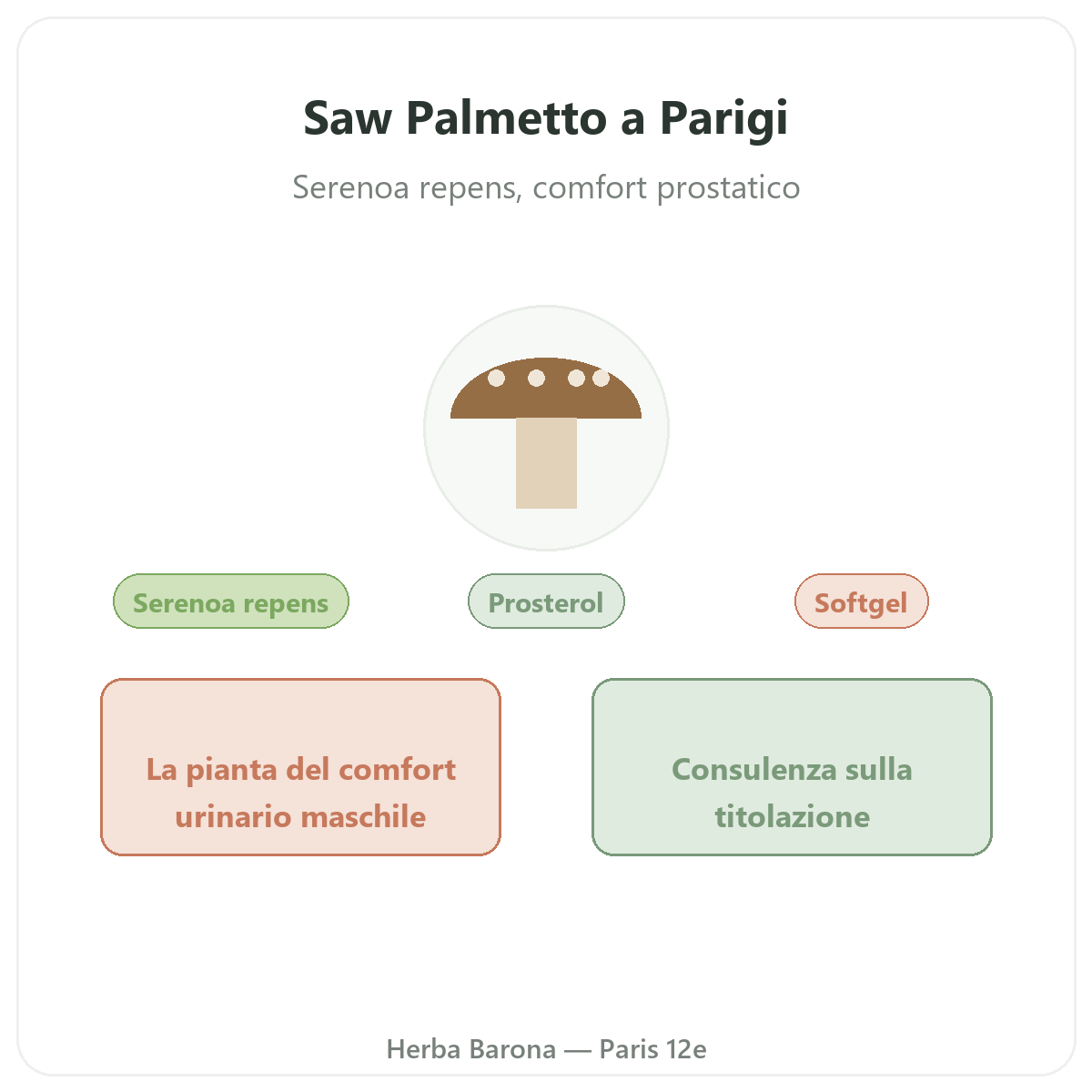 Saw Palmetto Paris Paris - presentation de la marque chez Herba Barona Paris 12e