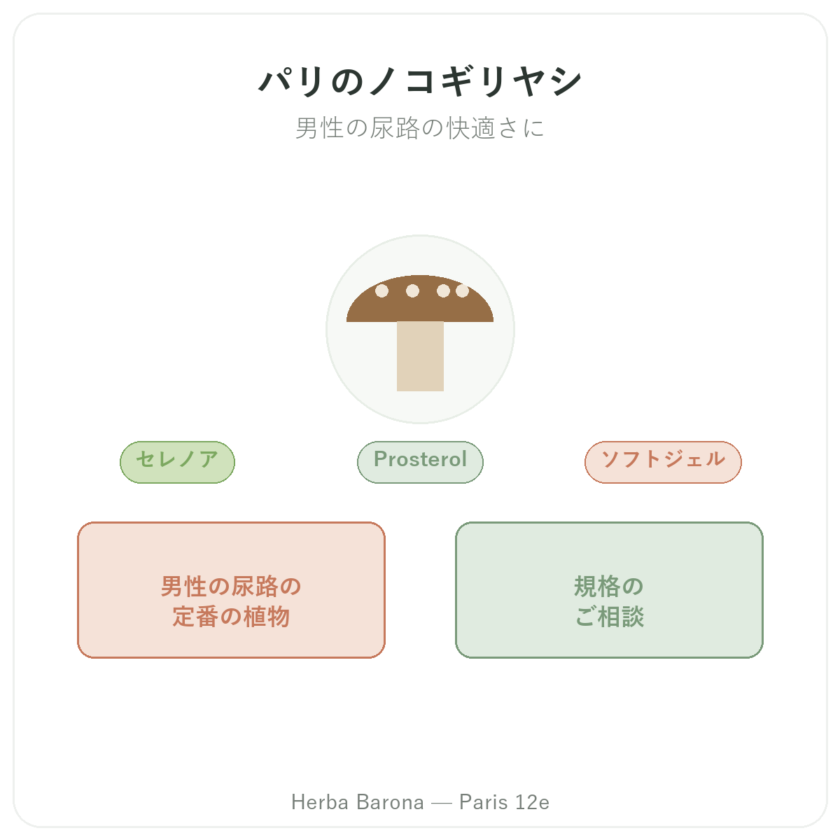 ソーパルメット パリ - Herba Baronaパリ12区でのブランド紹介