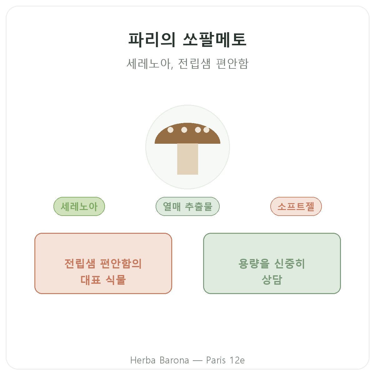 쏘팔메토 파리 - Herba Barona 파리 12구 브랜드 소개