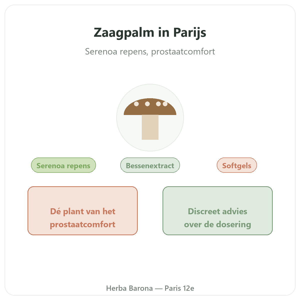 Saw Palmetto in Parijs - presentatie van het merk bij Herba Barona Parijs 12e
