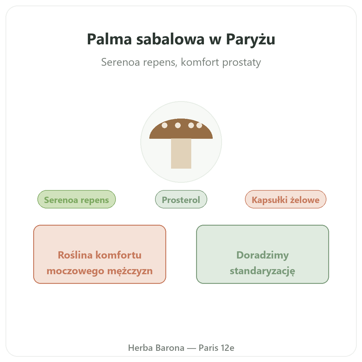 Saw Palmetto - prezentacja marki w Herba Barona, Paryż 12