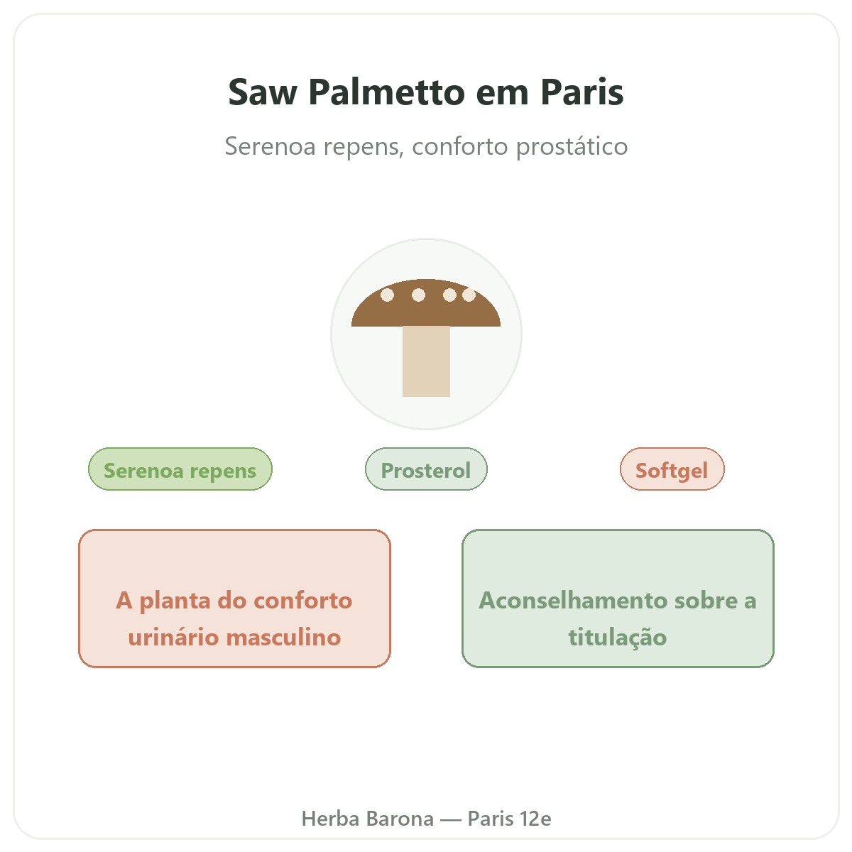 Saw Palmetto Paris Paris - apresentação da marca na Herba Barona Paris 12e