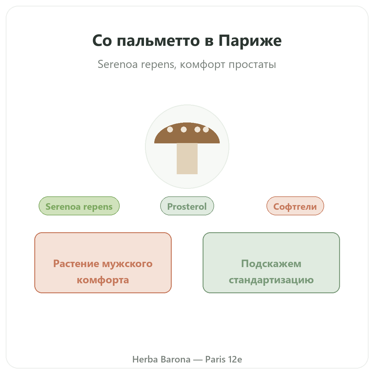 Saw Palmetto Париж Париж — презентация бренда в Herba Barona Париж, 12-й округ