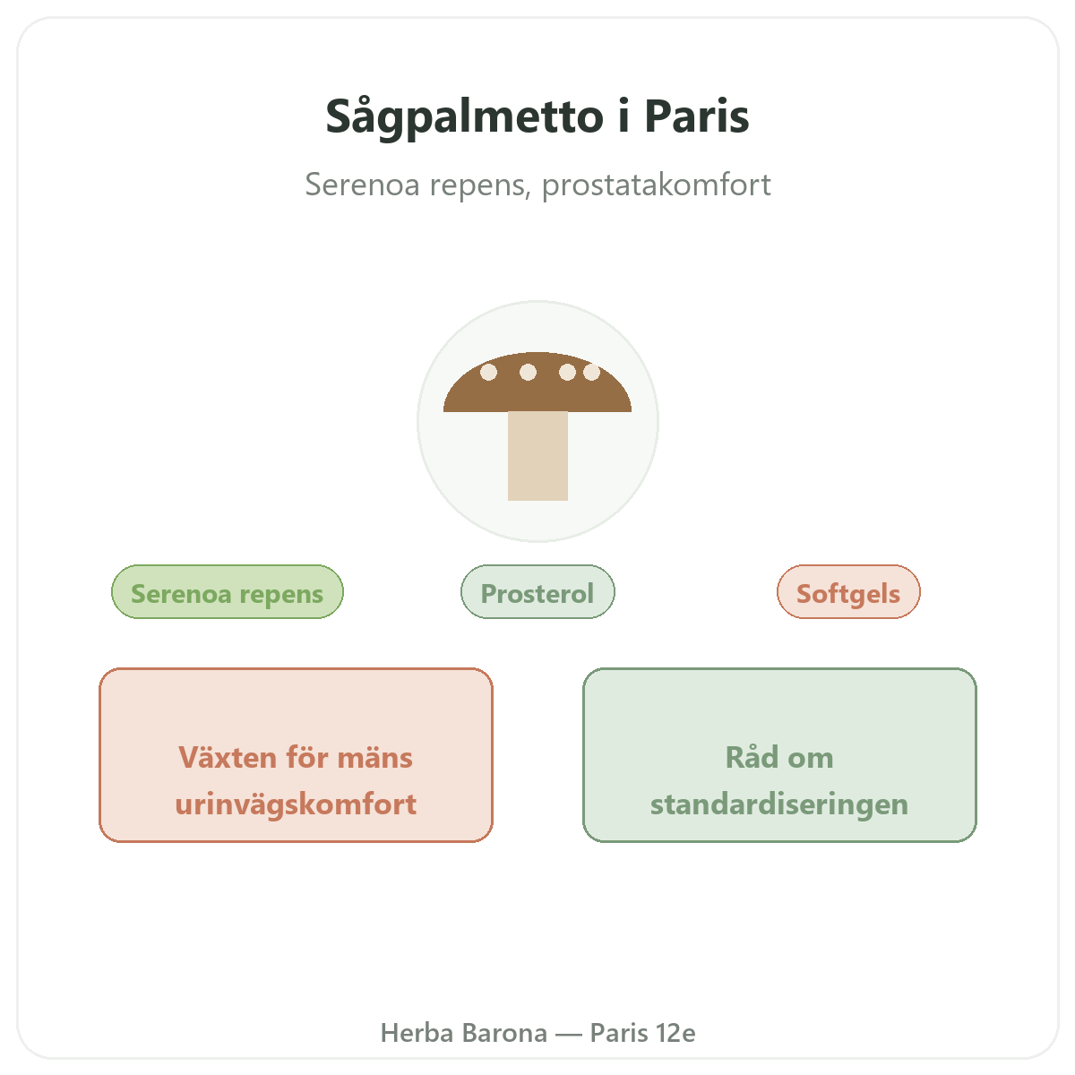 Sågpalmetto Paris – presentation av varumärket hos Herba Barona Paris 12e