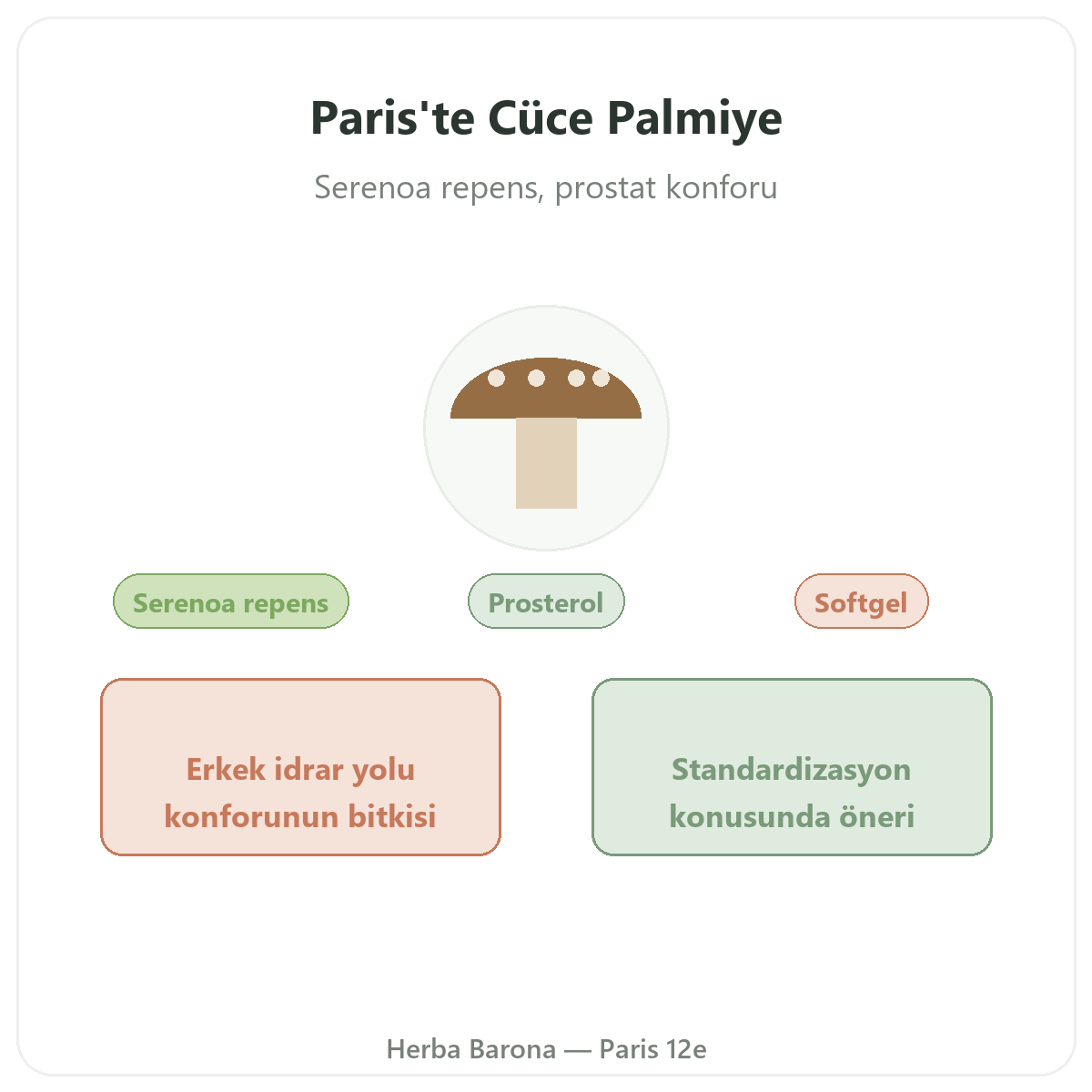 Paris Saw Palmetto — markanın tanıtımı, Herba Barona Paris 12. bölge