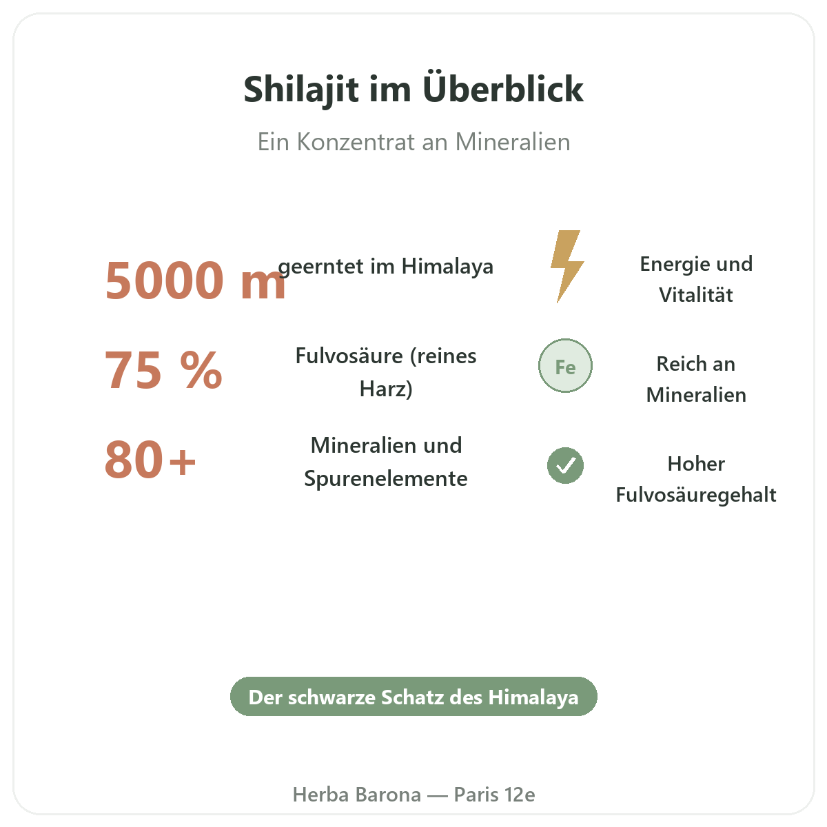 Shilajit-Harz Paris auf einen Blick - Kennzahlen bei Herba Barona Paris 12e
