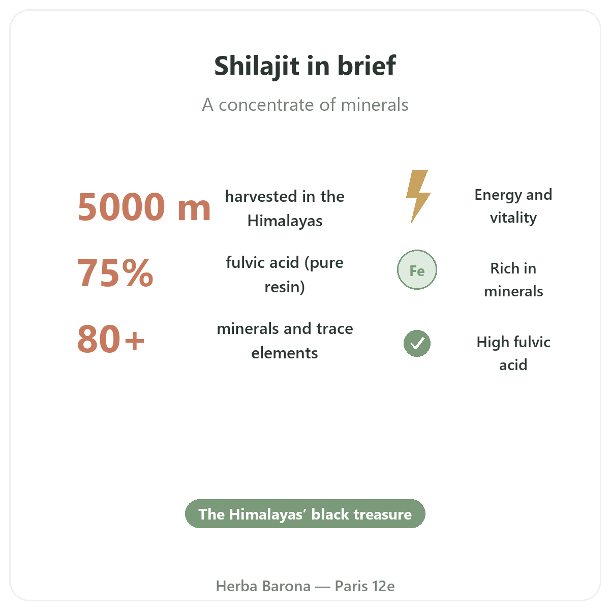 Shilajit resin in Paris at a glance - key facts at Herba Barona Paris 12th