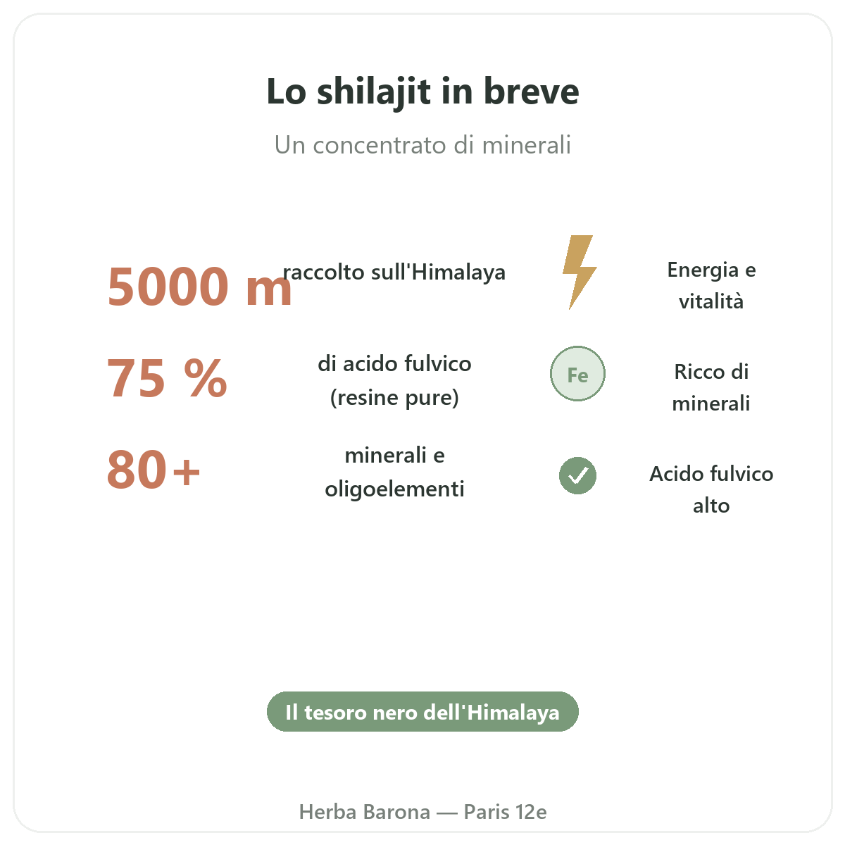 Shilajit resina Parigi Parigi in breve - cifre chiave da Herba Barona Parigi 12e