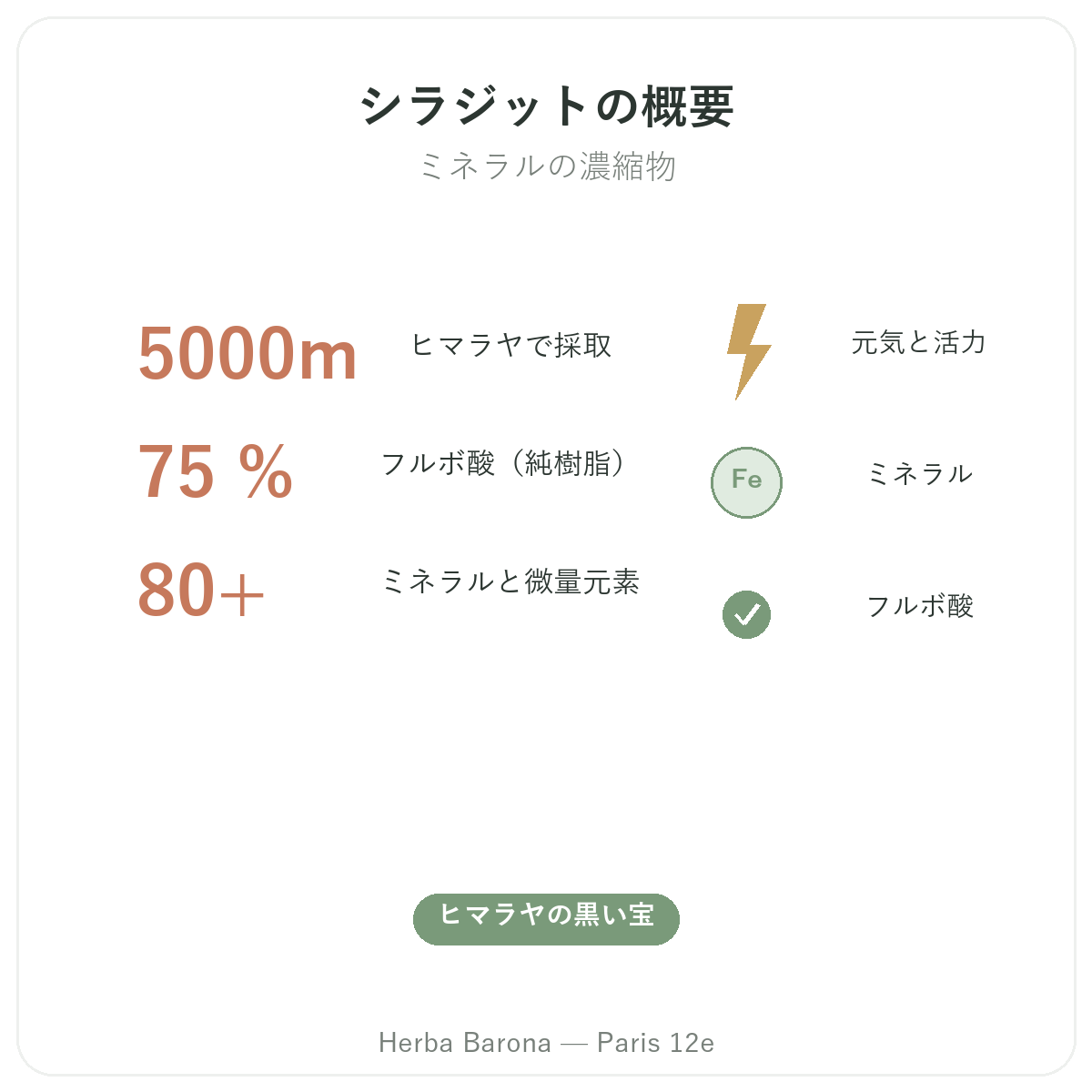 パリのシラジットレジン 概要 - 主な数字 Herba Barona パリ12区
