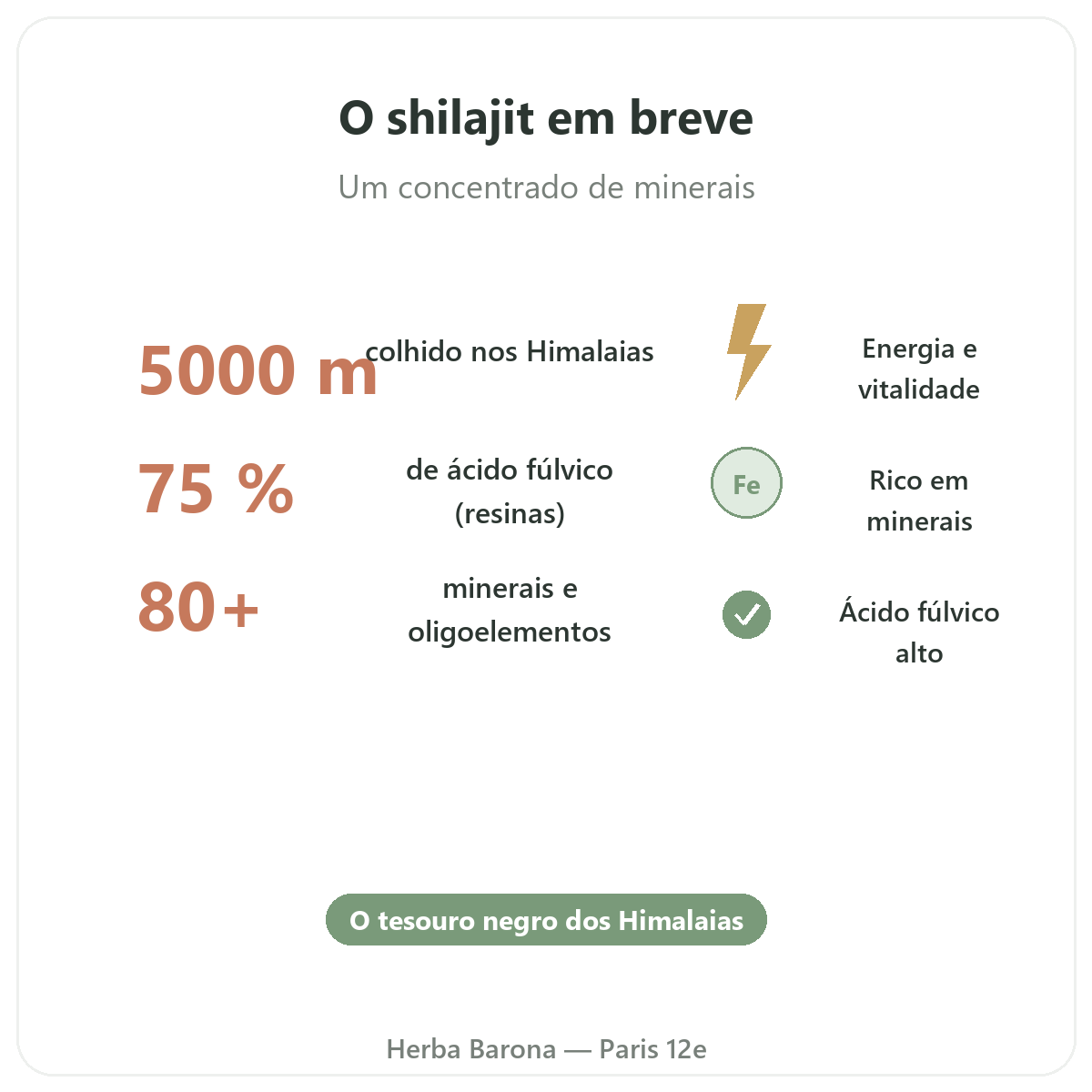 Shilajit resina Paris Paris em resumo - números-chave na Herba Barona Paris 12e