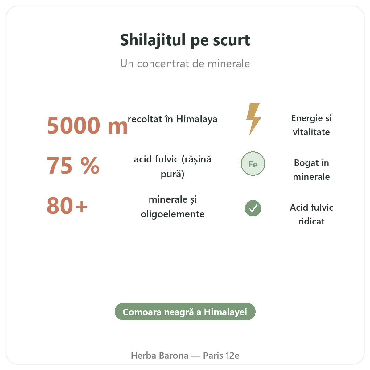 Shilajit rasina Paris pe scurt — cifre cheie la Herba Barona Paris 12e