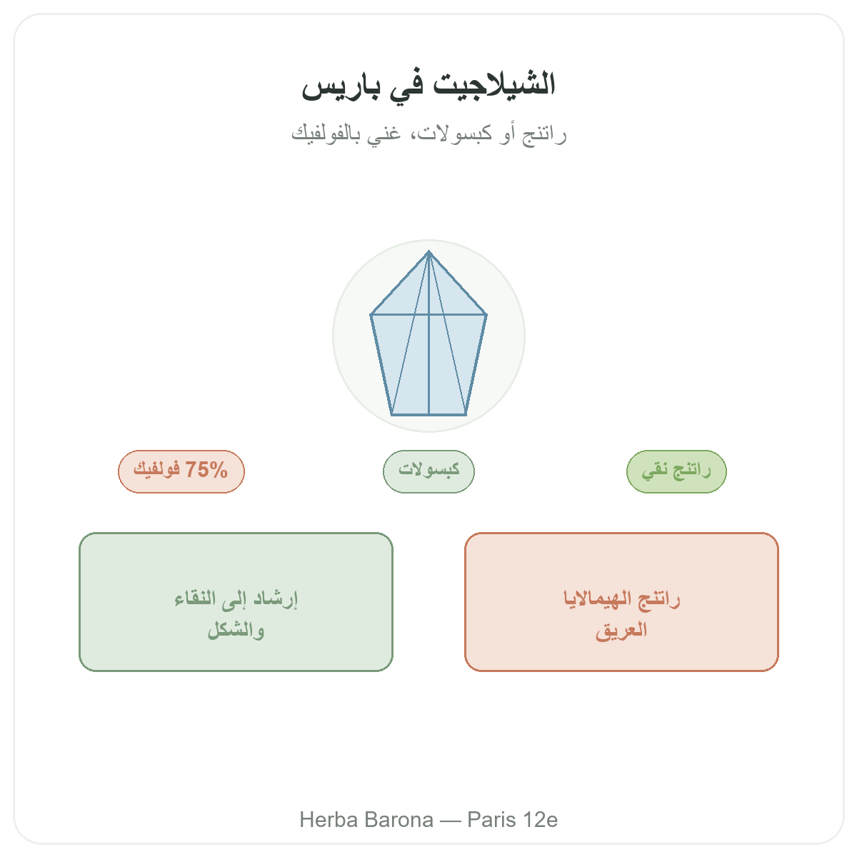 شيلاجيت راتنج باريس - تقديم المنتج لدى Herba Barona باريس 12