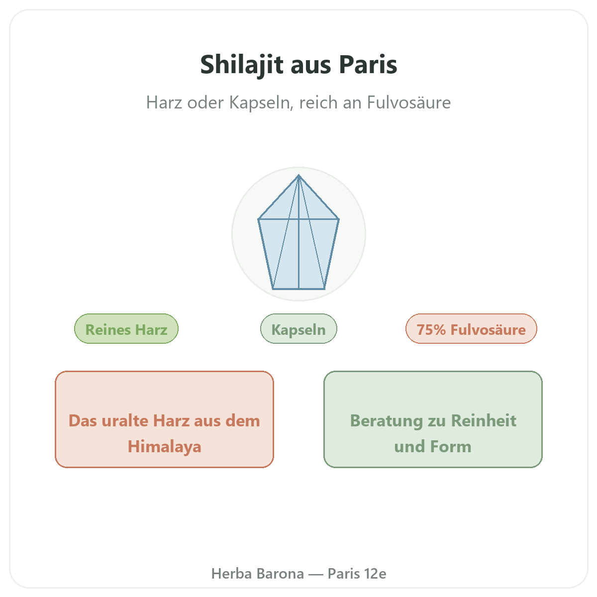 Shilajit-Harz Paris - Markenvorstellung bei Herba Barona Paris 12e