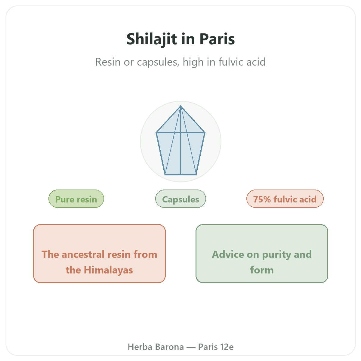 Shilajit resin in Paris - brand overview at Herba Barona Paris 12th