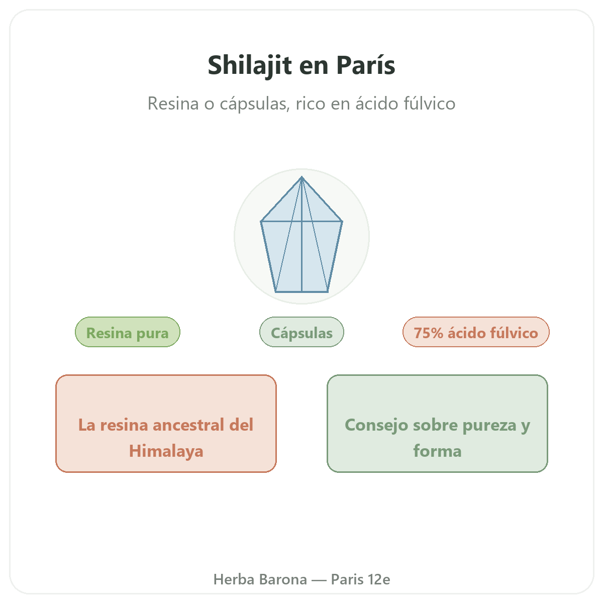 Shilajit en resina en París - presentación de la marca en Herba Barona París 12e