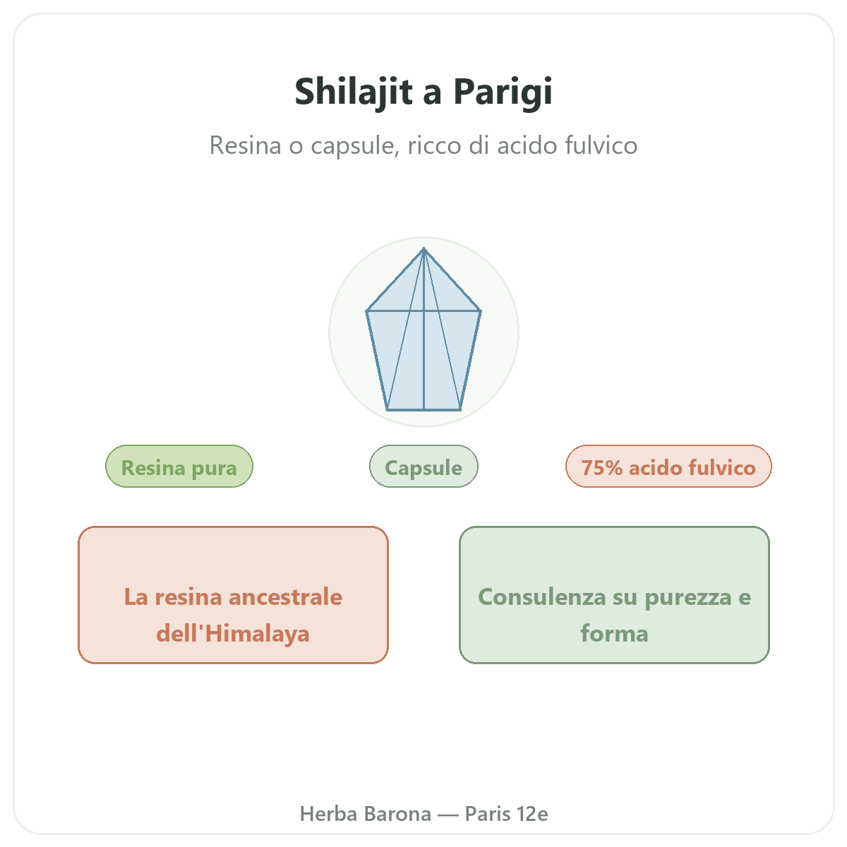 Shilajit resina Parigi Parigi - presentazione del marchio da Herba Barona Parigi 12e
