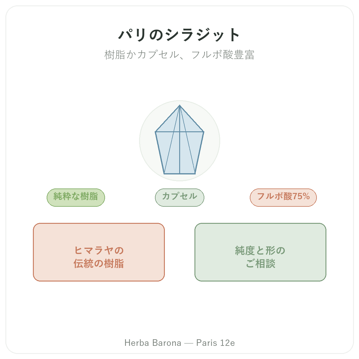 パリのシラジットレジン 紹介 - Herba Barona パリ12区