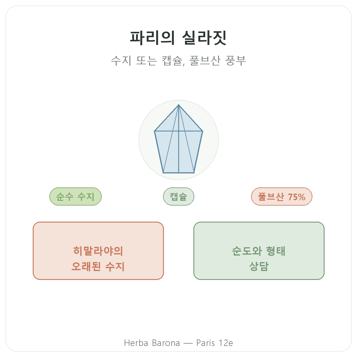 실라짓 레진 파리 - Herba Barona 파리 12구 브랜드 소개