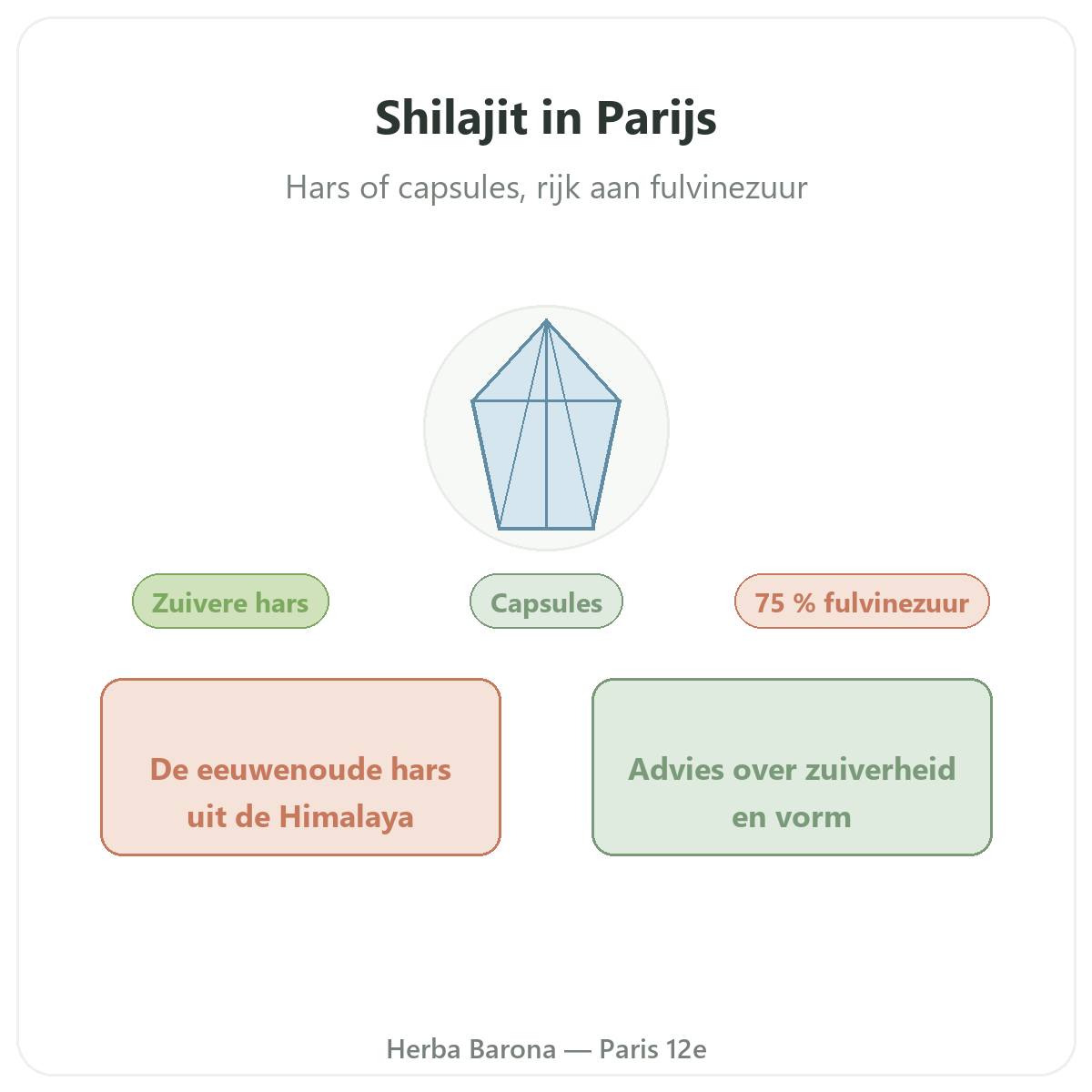 Shilajit resine Paris Paris - presentation de la marque chez Herba Barona Paris 12e