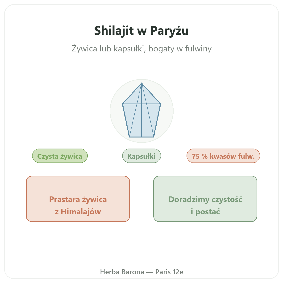 Żywica shilajit — prezentacja marki w Herba Barona
