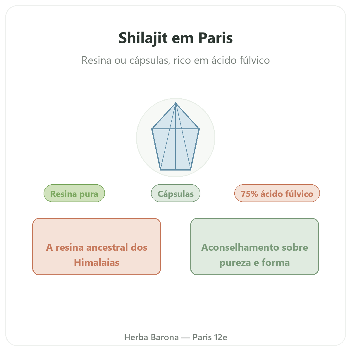 Shilajit resina Paris Paris - apresentação da marca na Herba Barona Paris 12e
