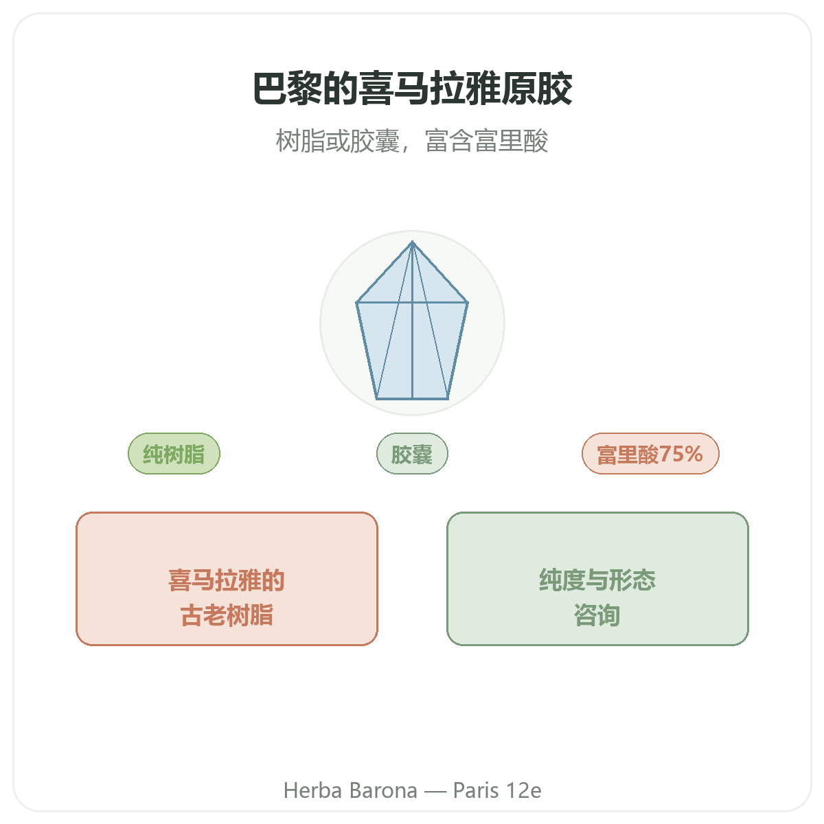 西拉吉特树脂 巴黎 - Herba Barona 巴黎12区门店品牌介绍