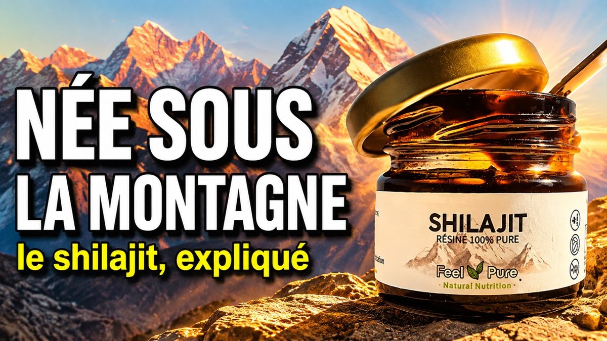 Shilajit reçine kapsül Feel Pure SIHO videosu Paris Herba Barona