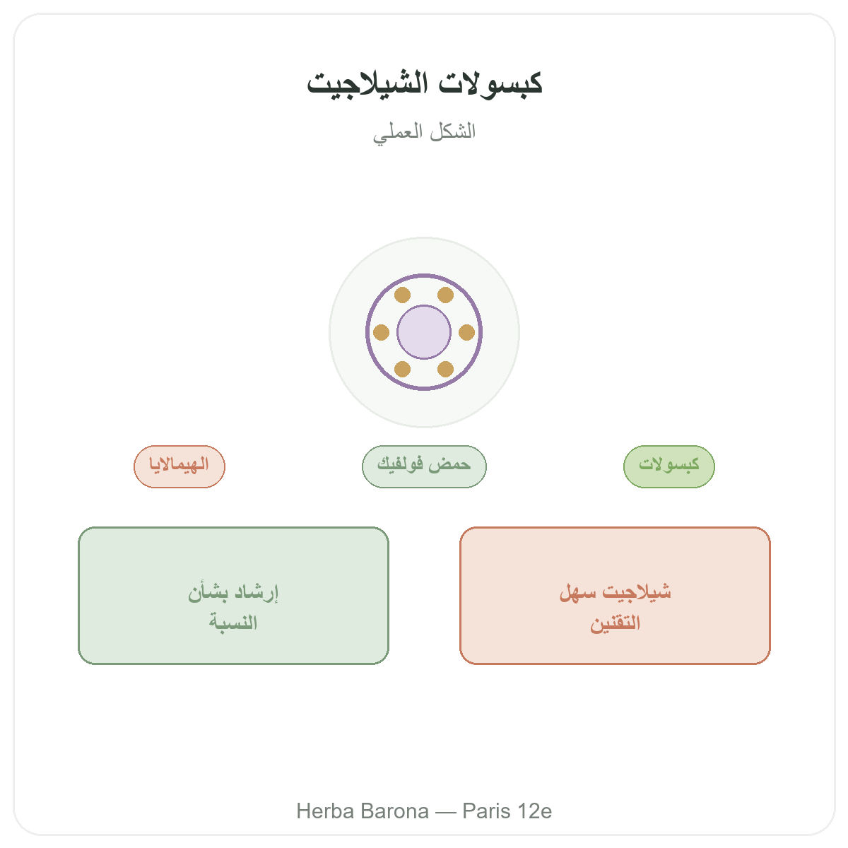 شيلاجيت كبسولات باريس - تقديم المنتج لدى Herba Barona باريس 12