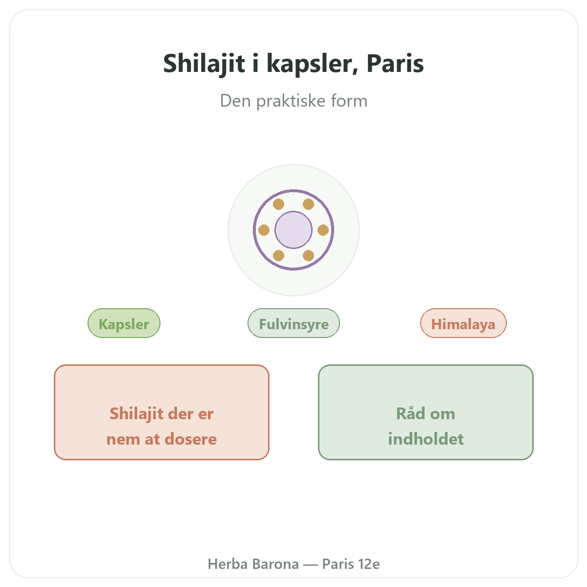 Shilajit kapsler Paris - præsentation af mærket hos Herba Barona Paris 12