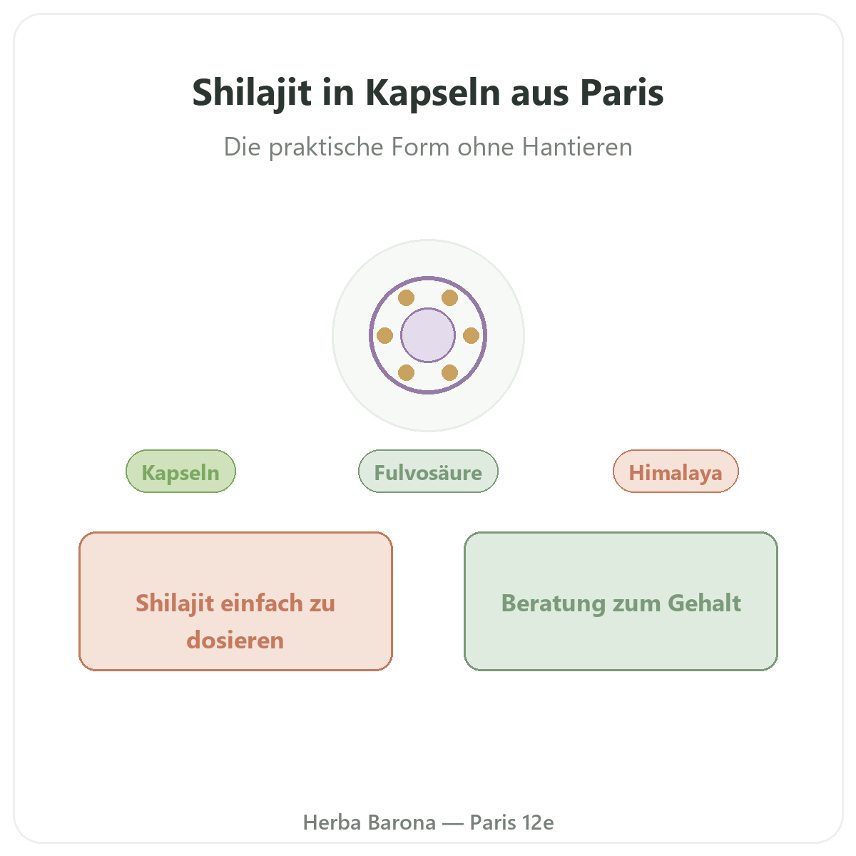 Shilajit Kapseln Paris - Markenvorstellung bei Herba Barona Paris 12e