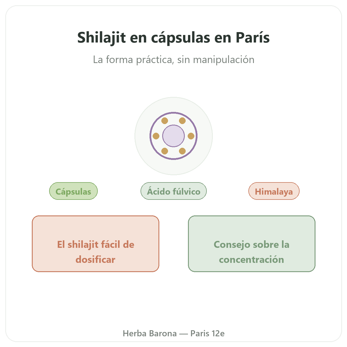 Shilajit en cápsulas en París - presentación de la marca en Herba Barona París 12e