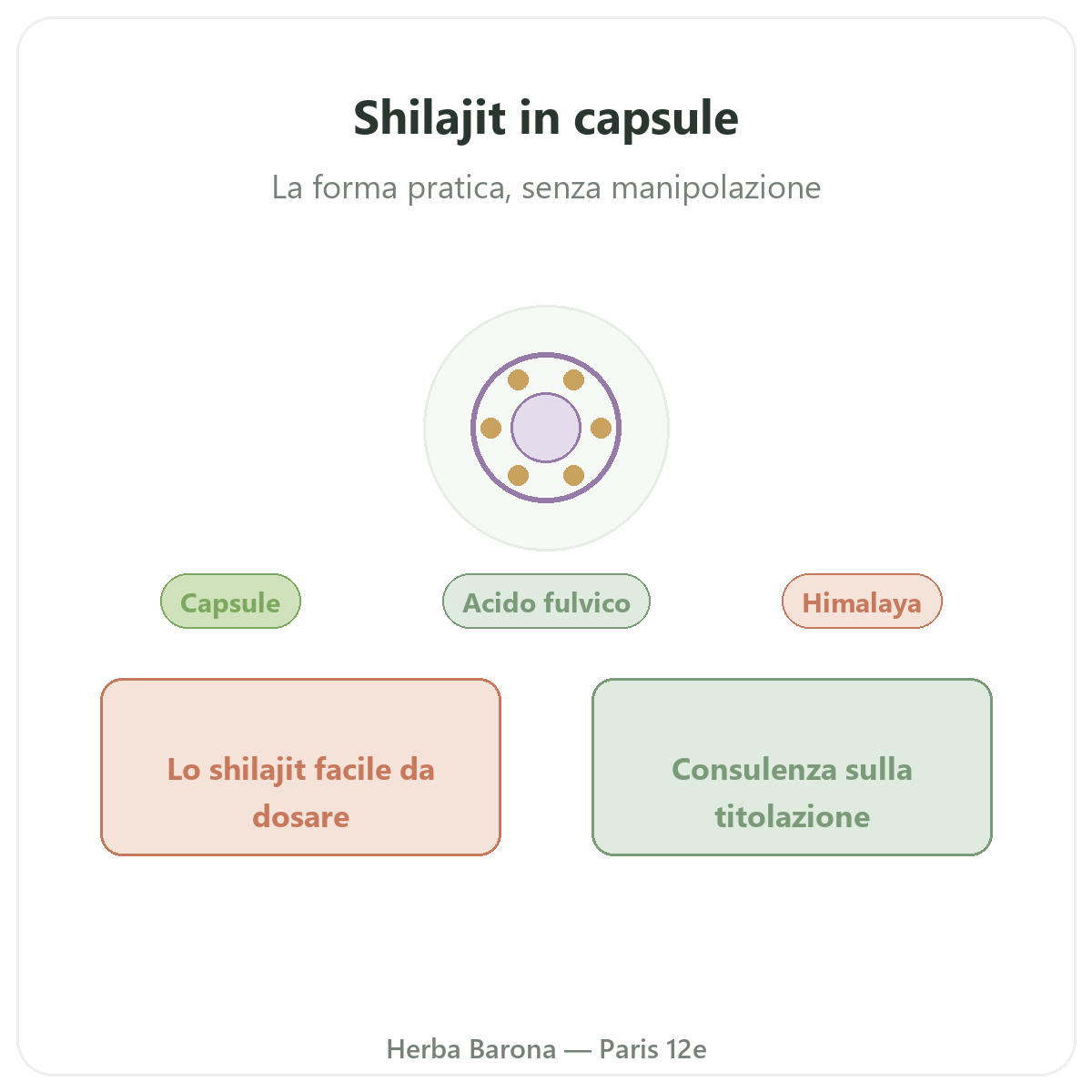 Shilajit capsule Parigi - presentazione del marchio da Herba Barona Parigi 12e