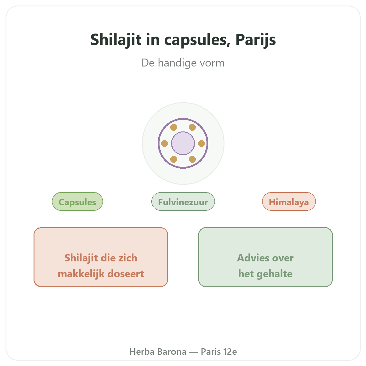 Shilajit gelules Paris Paris - presentation de la marque chez Herba Barona Paris 12e