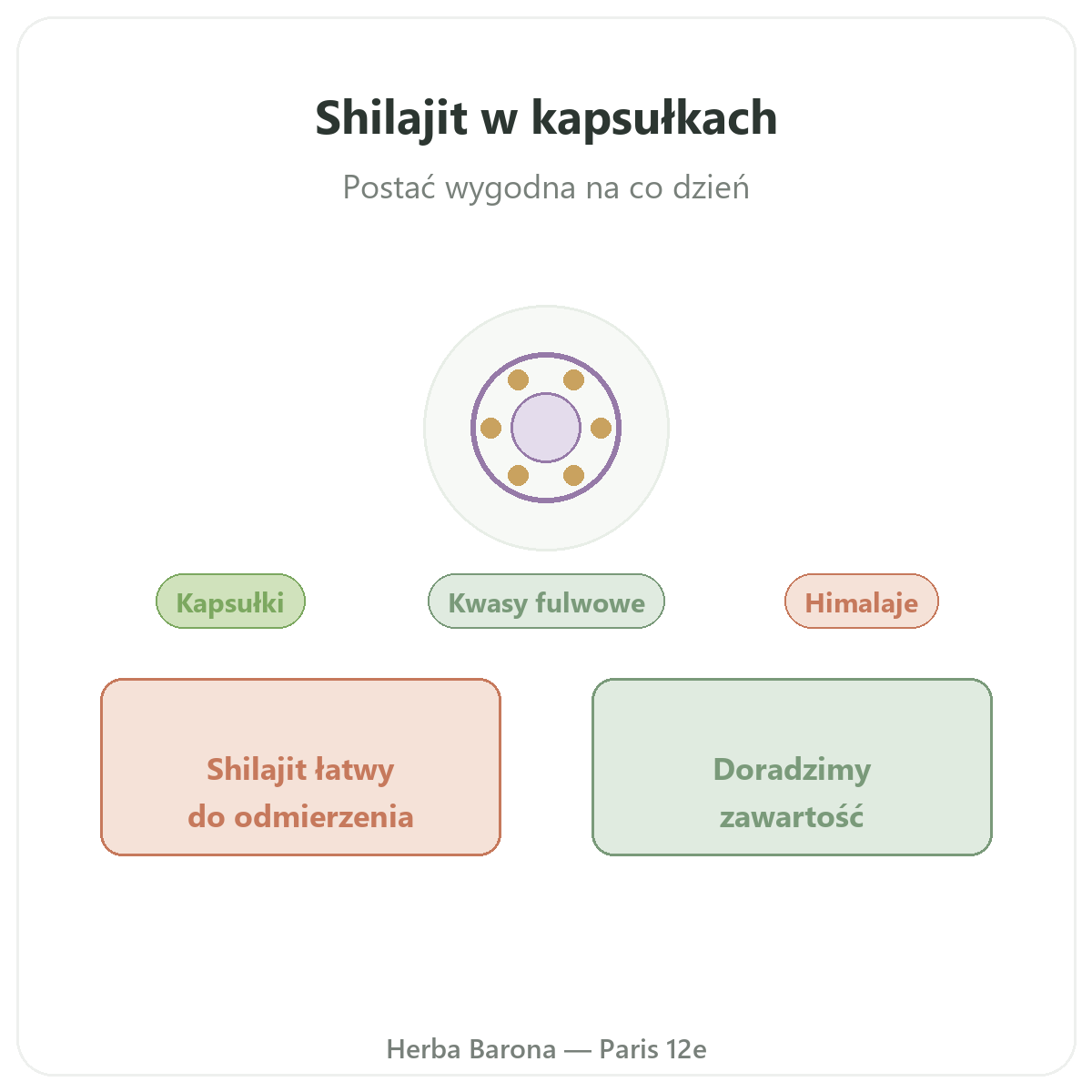 Shilajit w kapsułkach w Paryżu - prezentacja marki w Herba Barona, Paryż 12. dzielnica