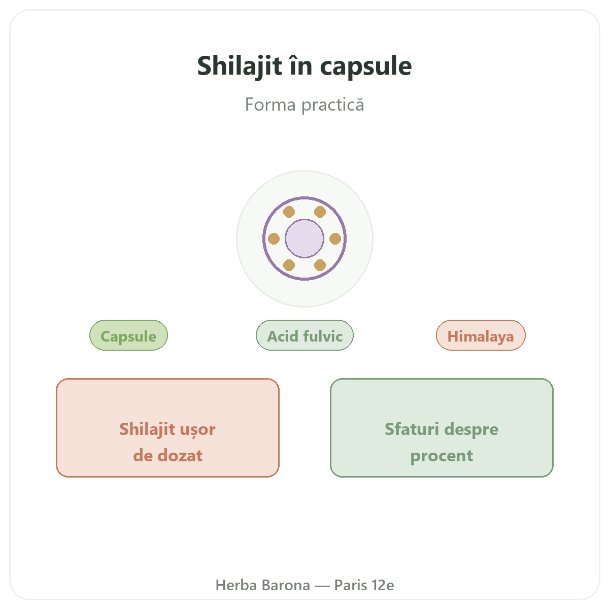 Shilajit capsule Paris - prezentare la Herba Barona Paris, arondismentul 12