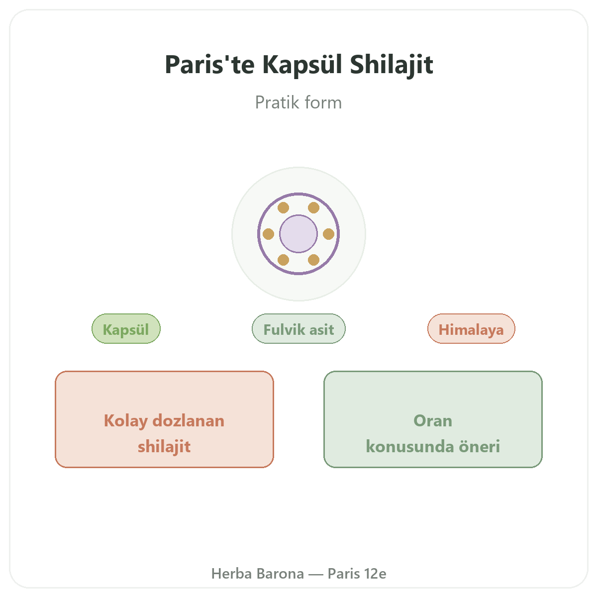 Paris’te kapsül shilajit - Herba Barona Paris 12. bölgede tanıtım