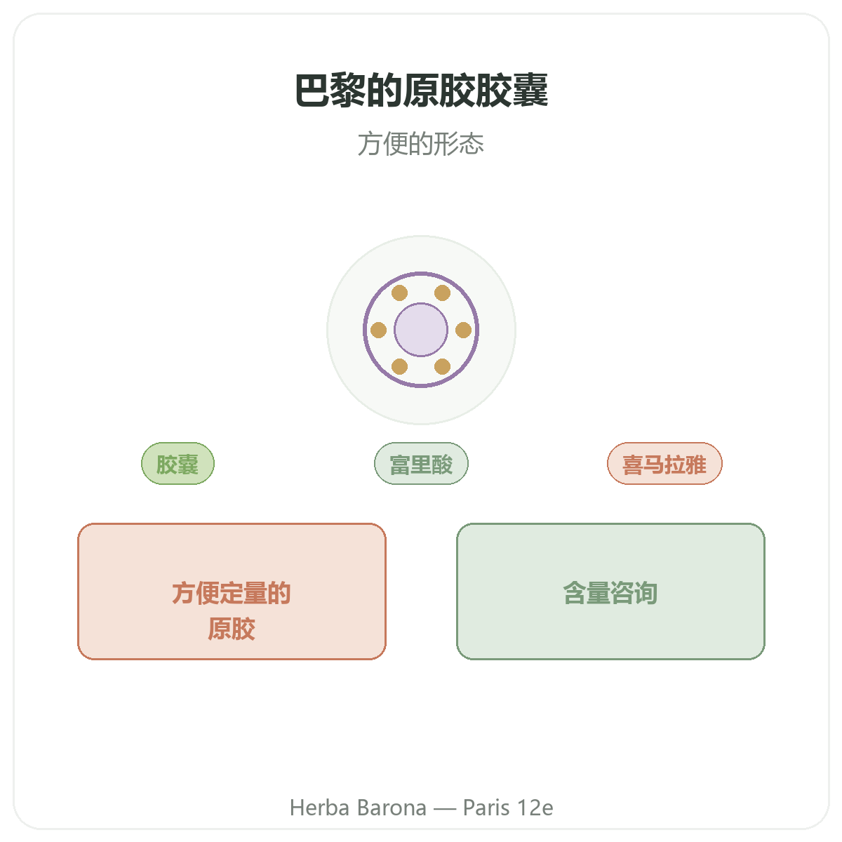 西拉吉特胶囊 巴黎 - Herba Barona 巴黎12区门店品牌介绍